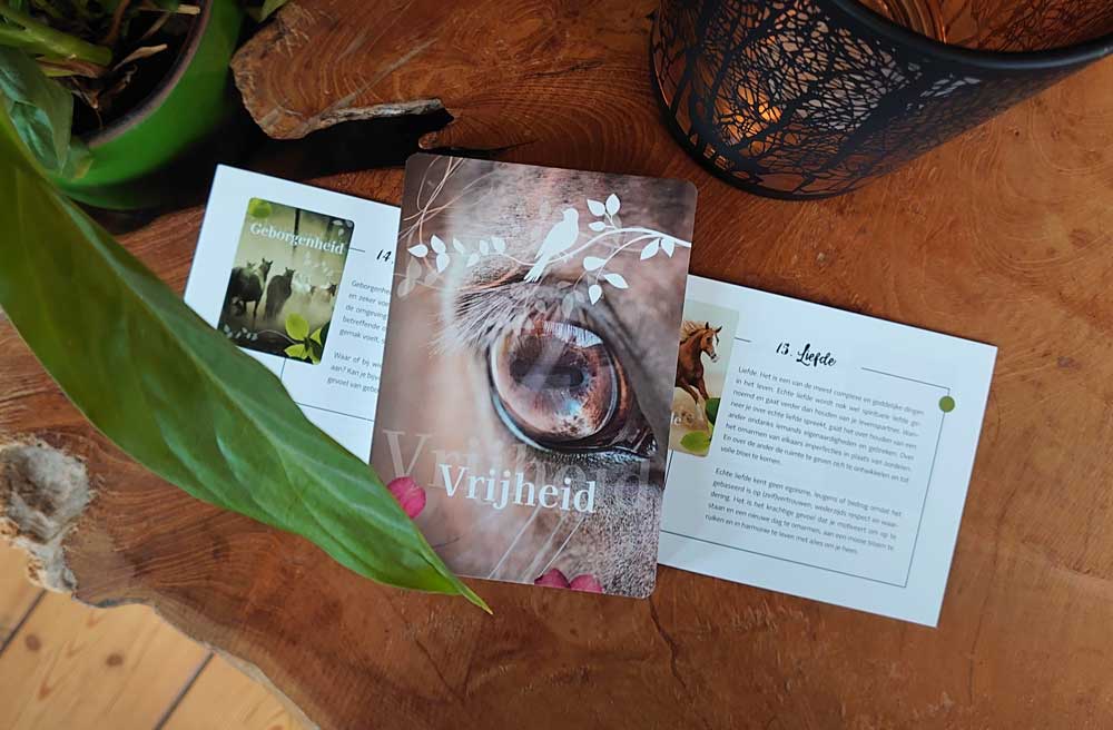 Paardenkracht Levensverhalen kaartenset