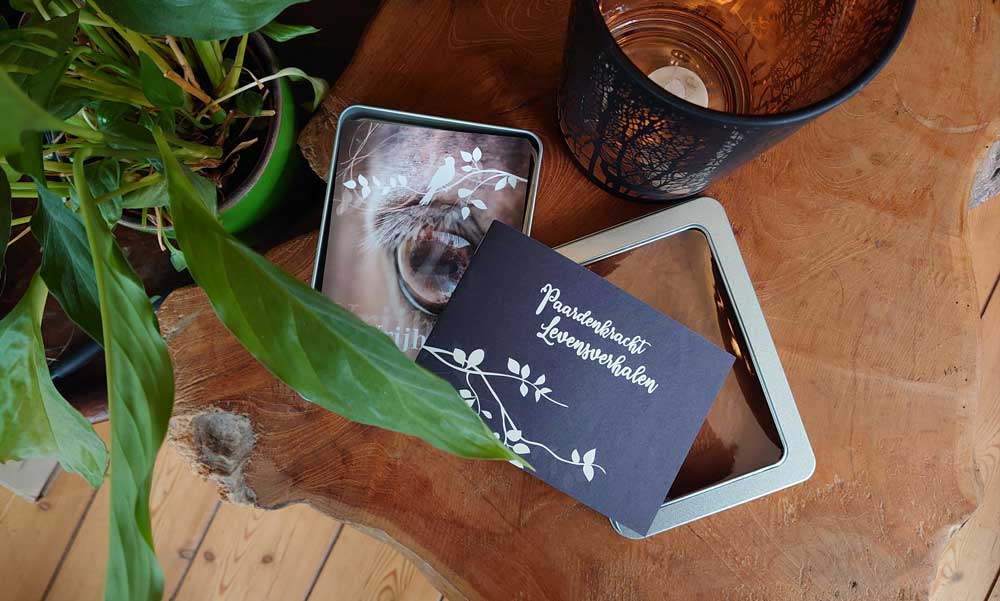 Paardenkracht Levensverhalen kaartenset