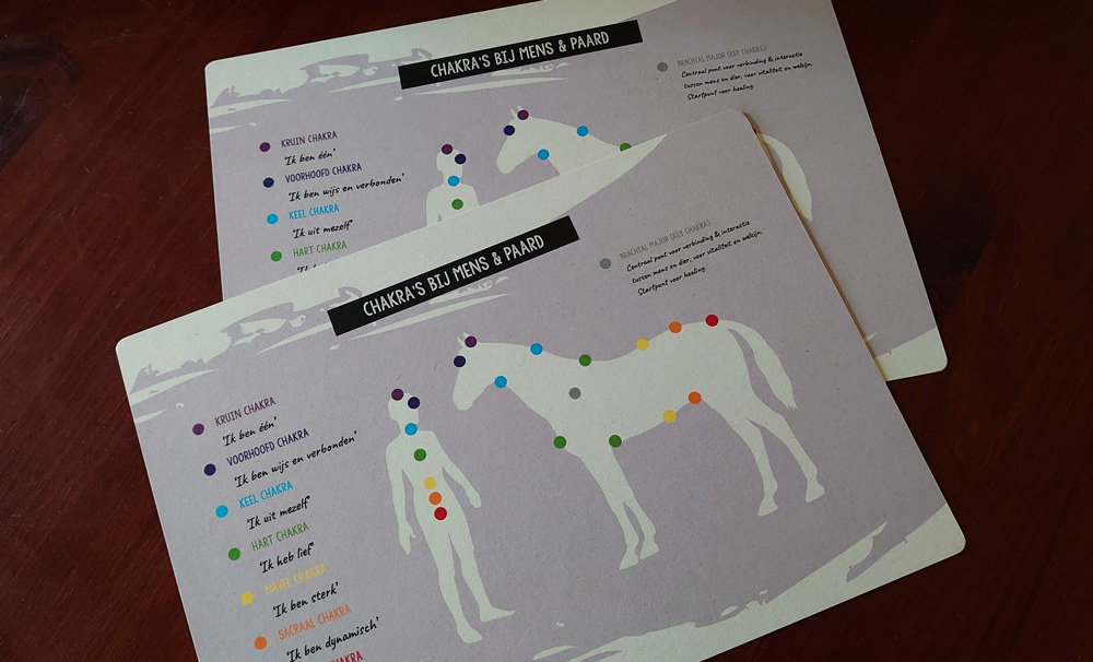Paardenkracht Chakrakaart mens en paard