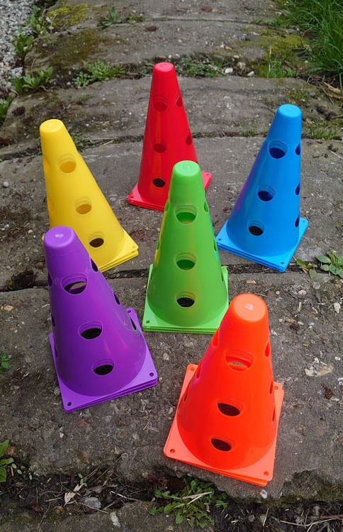 Pionnenset plus paardencoaching