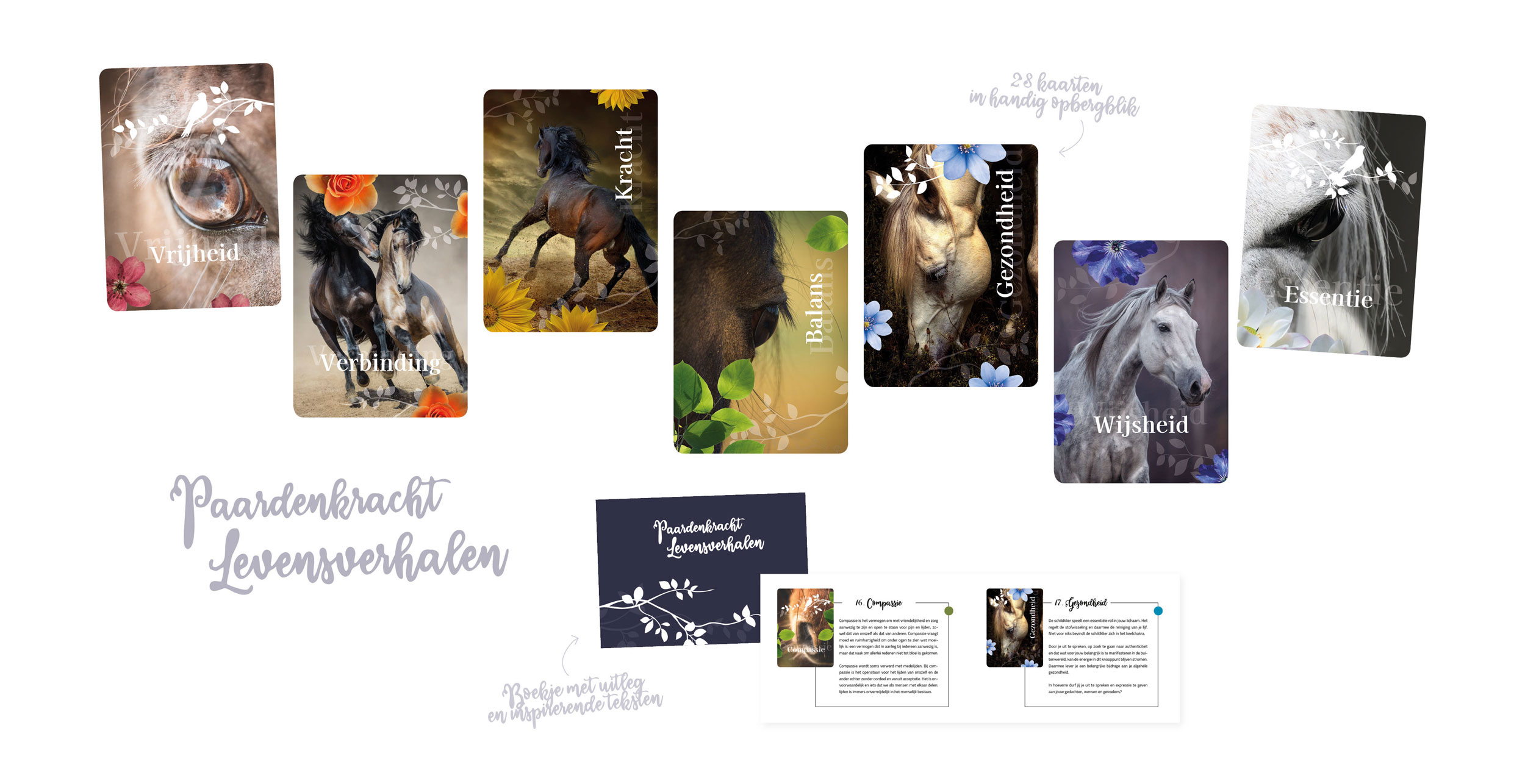 Paardenkracht Levensverhalen coachkaarten kaartenset