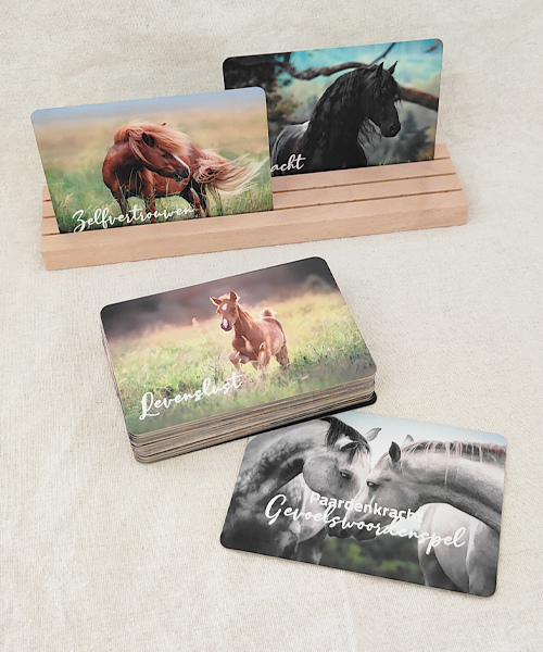 Paardenkracht Gevoelswoordenspel paardencoaching Paardenkracht Campus Kaartenset Coachkaarten