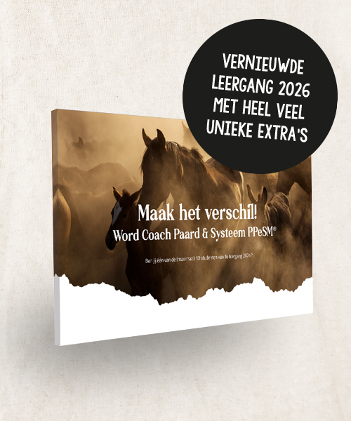 Opleidingsgids opleiding Coach Paard & Systeem PPeSM® opleiding paardencoaching