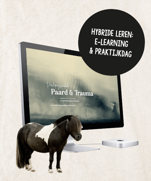 Verdiepingsmodule Paard & Trauma paardencoaching