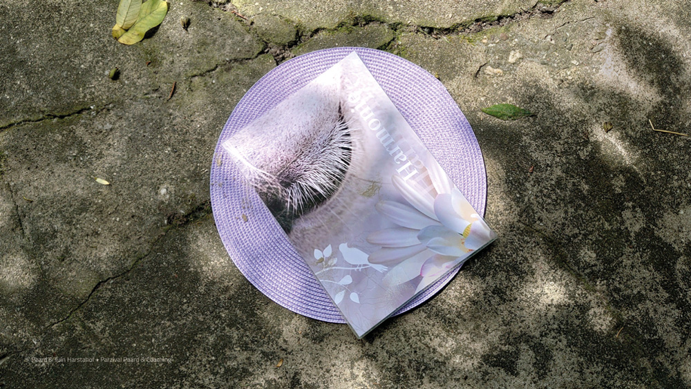 masterclass sheets levensverhalen