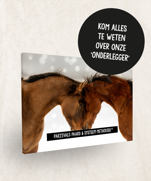 Brochure Parzivals Paard & Systeem Methodiek® Paardenkracht Campus