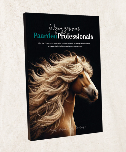 Wegwijzer voor paardenprofessionals. Hier strat jouw route naar veilig, onderscheiden en diepgaand faciliteren van systemisch-holistisch zielswerk met paarden